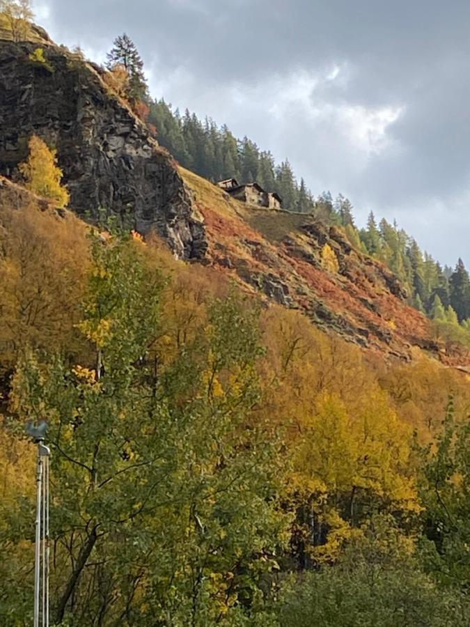 Baita Valtellina. Relax Nel Cuore Delle Alpi 格罗西奥 外观 照片