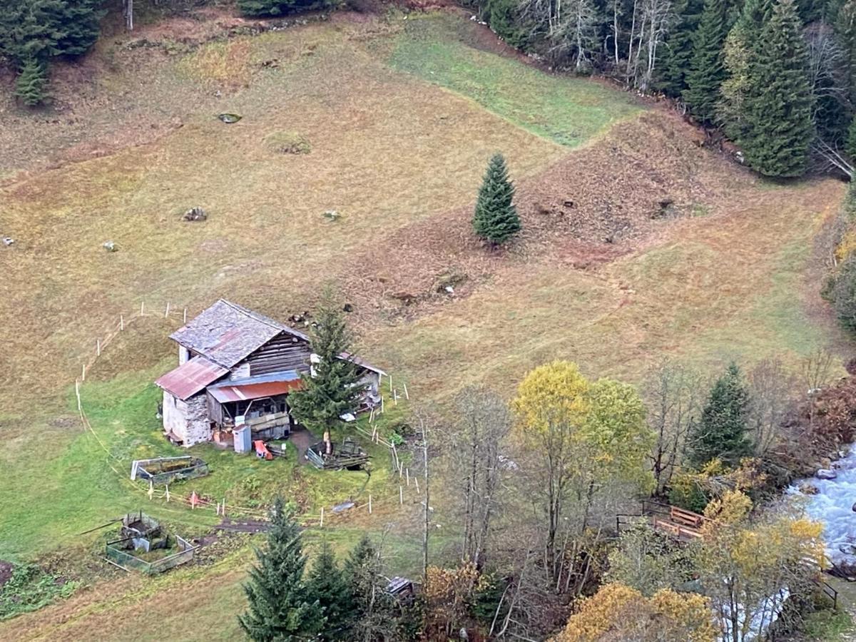 Baita Valtellina. Relax Nel Cuore Delle Alpi 格罗西奥 外观 照片