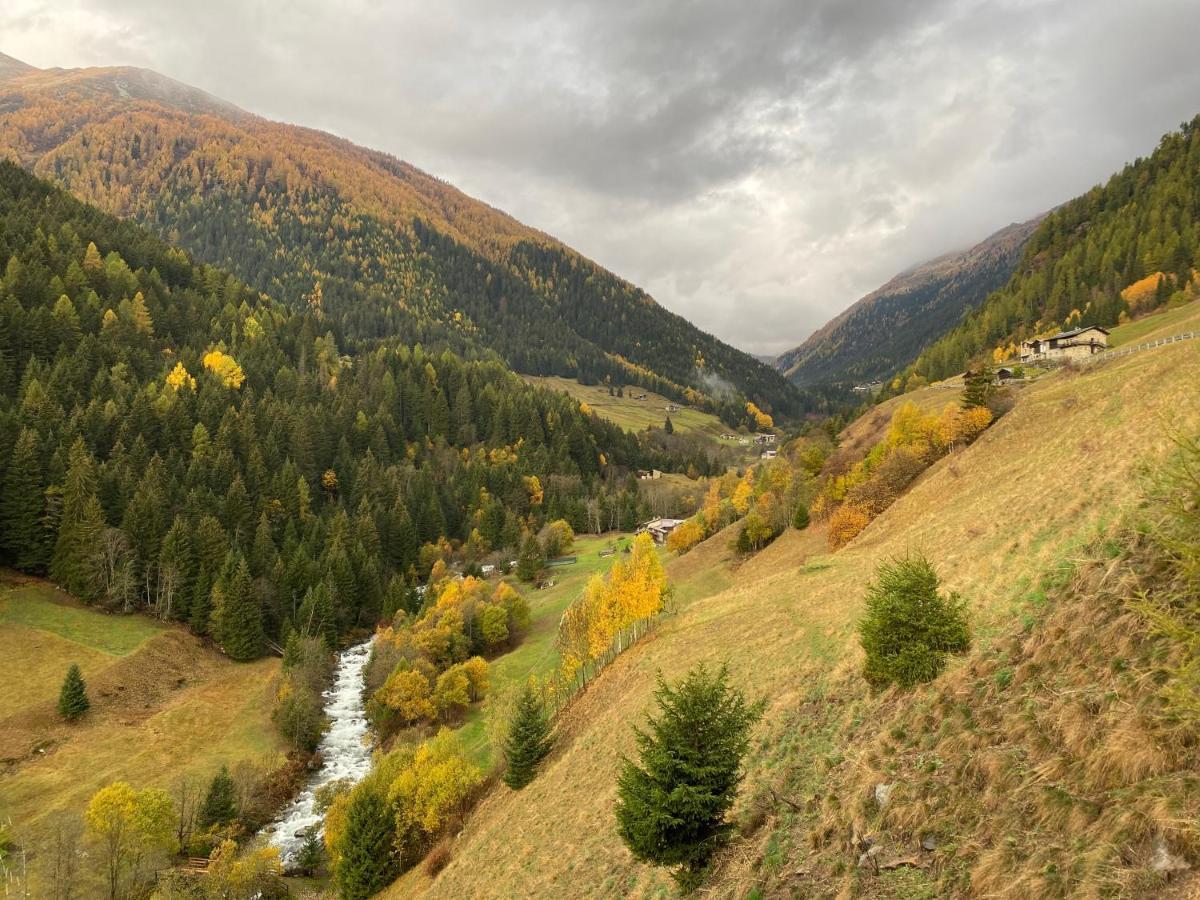 Baita Valtellina. Relax Nel Cuore Delle Alpi 格罗西奥 外观 照片